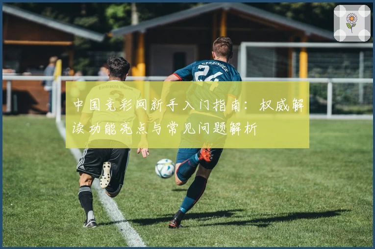 中国竞彩网新手入门指南：权威解读功能亮点与常见问题解析