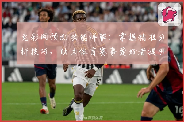 竞彩网预测功能详解：掌握精准分析技巧，助力体育赛事爱好者提升预测水平