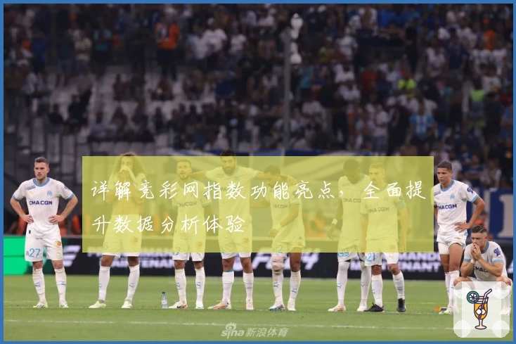 详解竞彩网指数功能亮点,全面提升数据分析体验